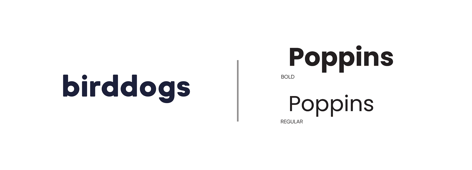 Birddogs — project visual 3