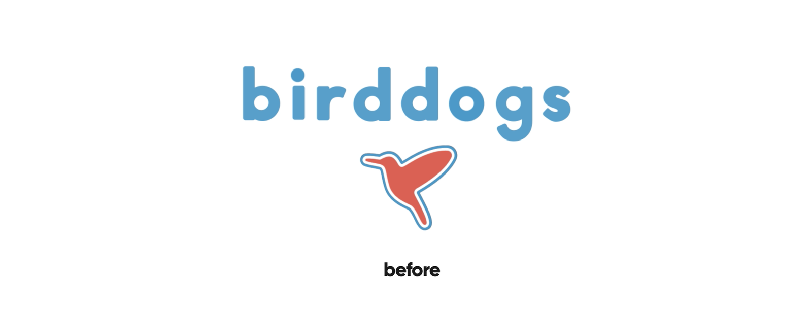 Birddogs — project visual 1