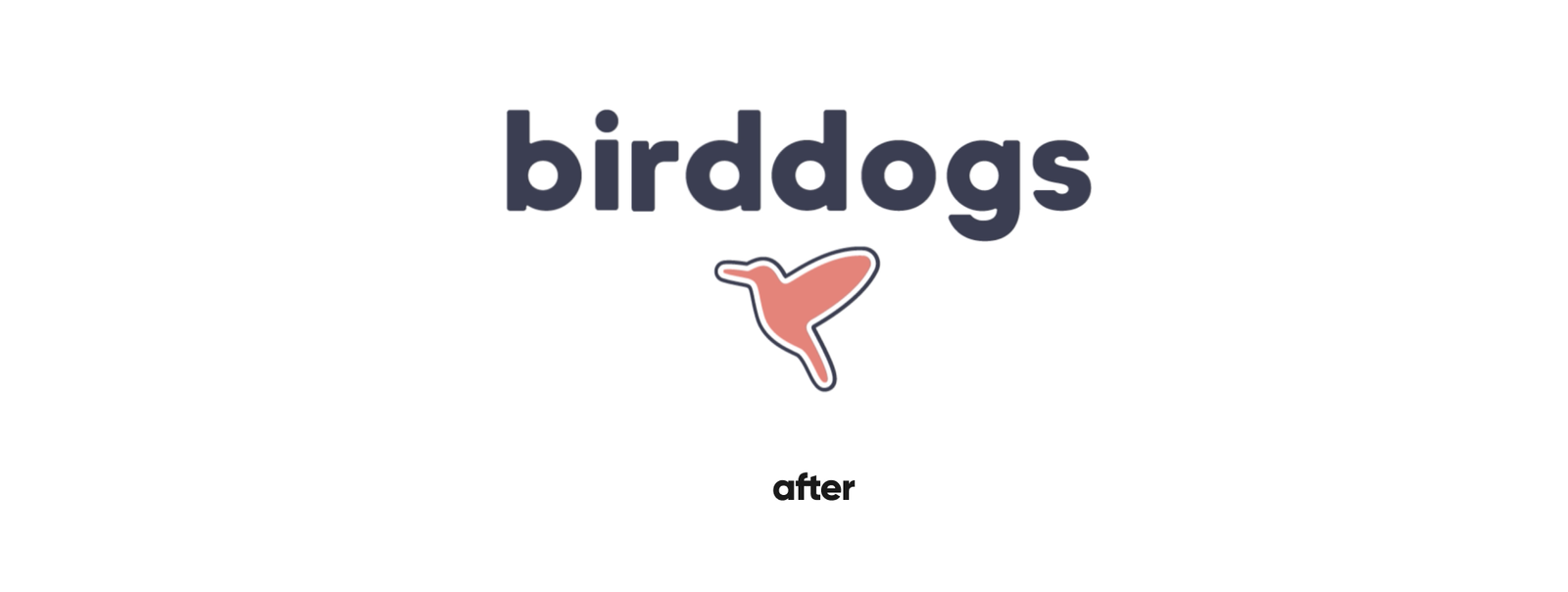 Birddogs — project visual 2